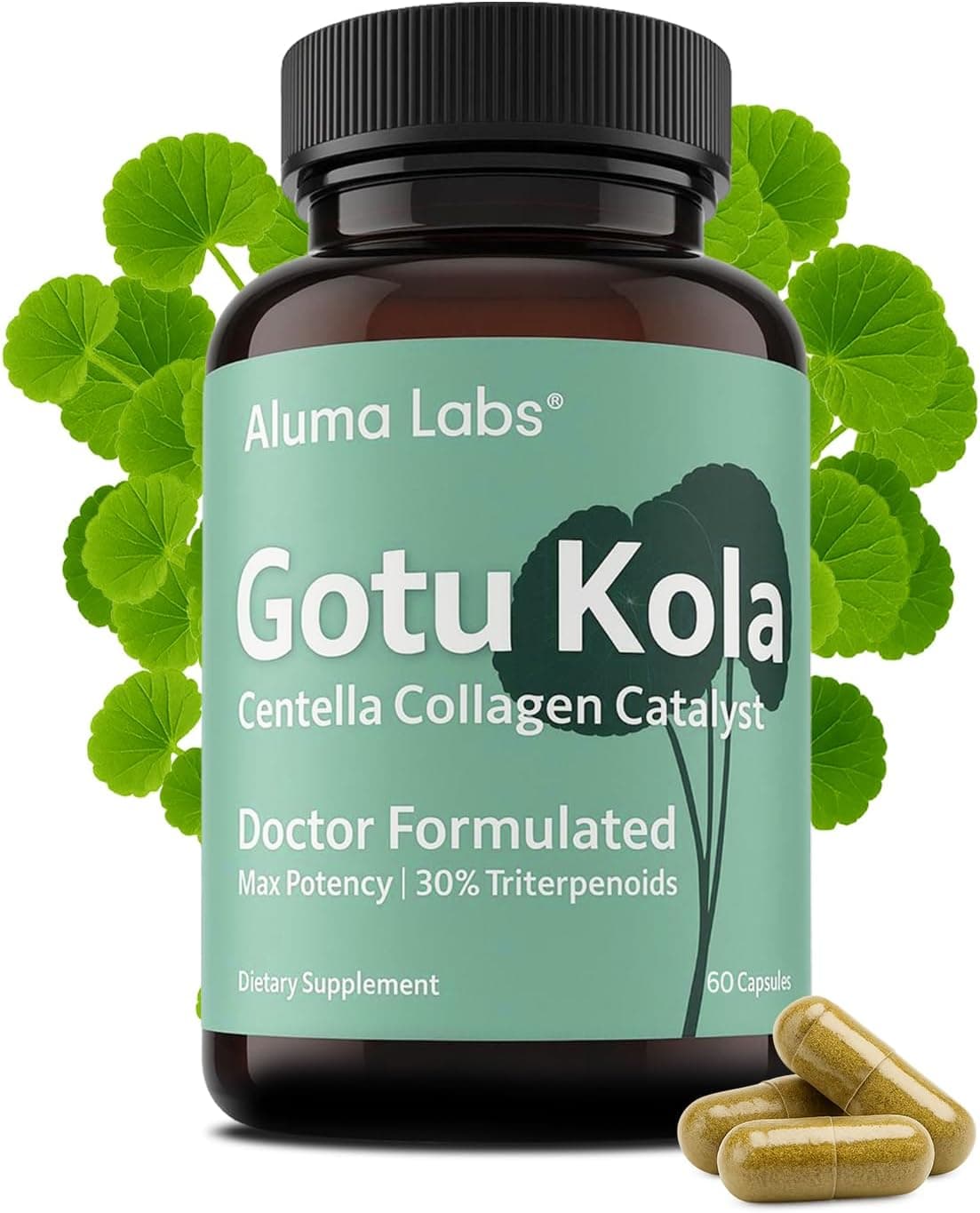 Gotu Kola Capsules - Premium Centella Asiatica Extract, Collagen Support, Skin, Longevity & Anti-Aging Supplement, 30% Triterpenoids, Doctor Formulated - 60 Capsules, 30-Day Supply