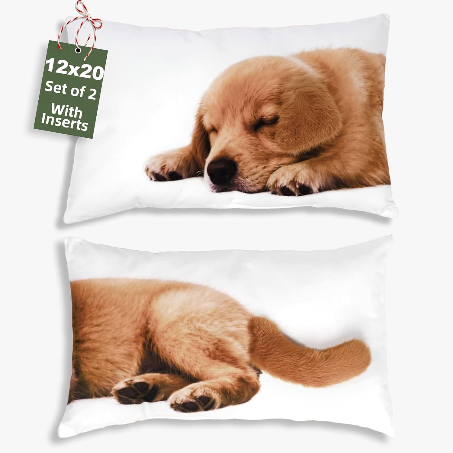 Spring Lumbar Pillow Covers 12x20, Set of 2 Indoor Decorative Throw Pillows Inserts for Bed, Sofa & Couch - image 1