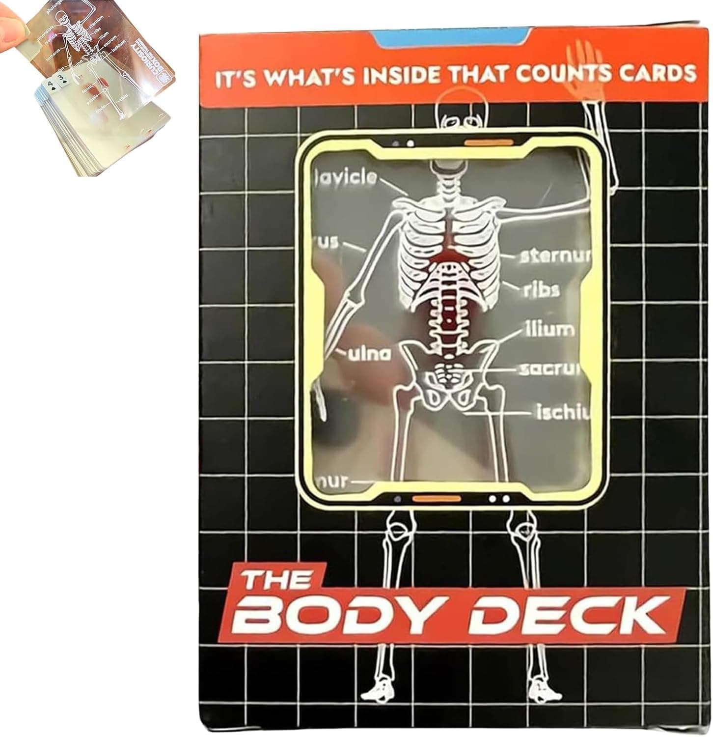The Body Deck Transparent Anatomy Playing Cards, 3D Skeleton Design, Educational Card Game, 54 Cards (1 Pack)