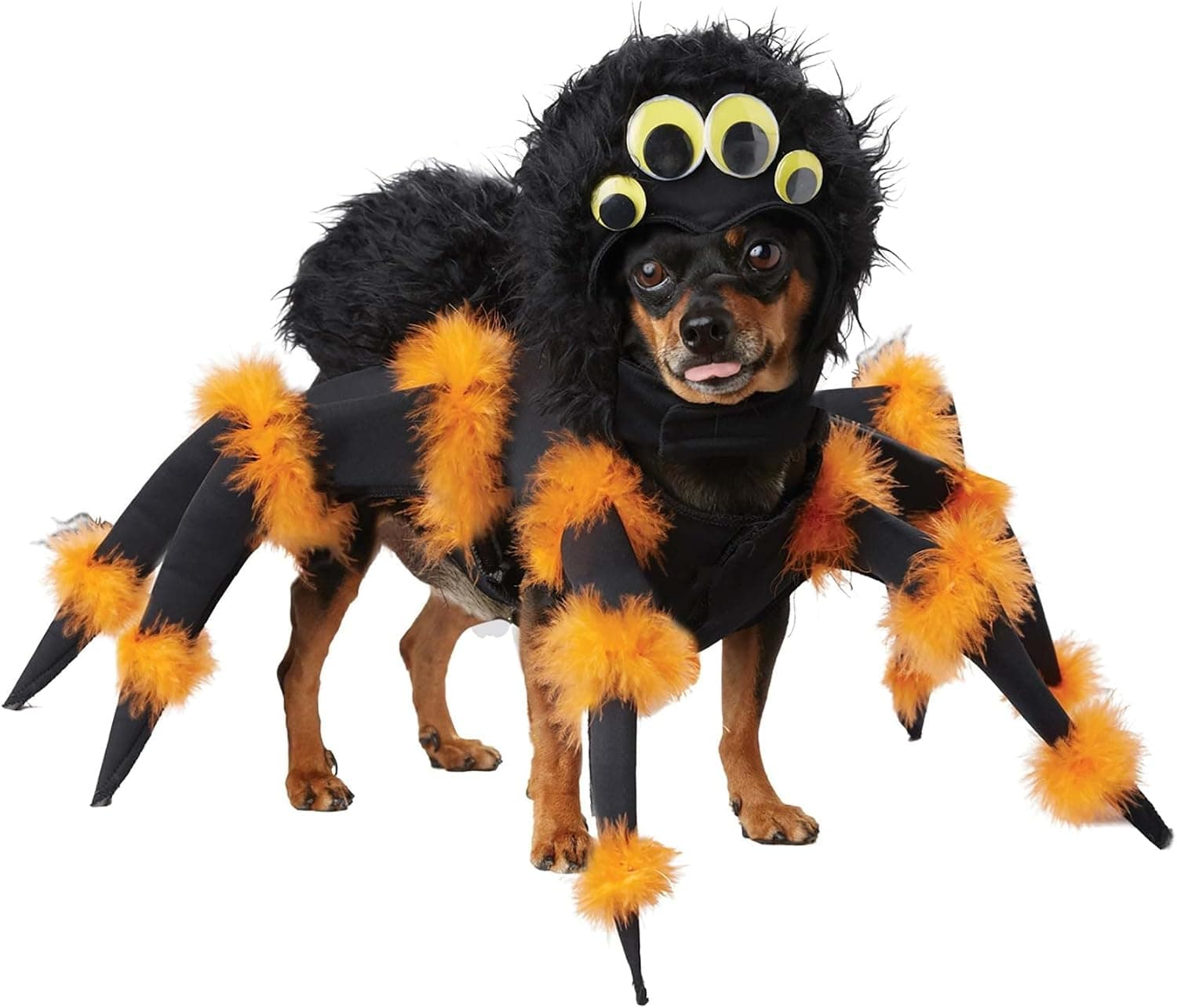 California Costumes, Spider Pup, Dog Costume Small - image 1
