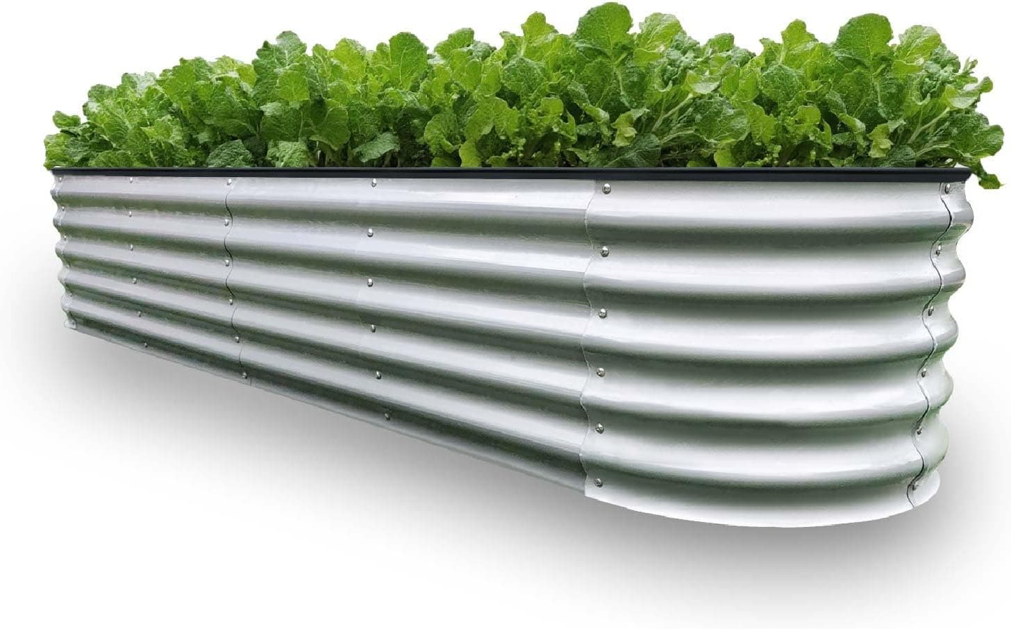 GrowHaus 8x2x1.4FT Galvanized Raised Garden Bed, Planter Boxes Outdoor Large Metal Garden Beds for Planting Vegetables Flowers Herbs Silver - image 1