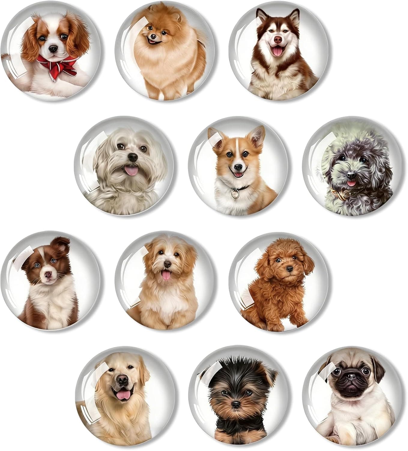 Pack of 12 Fridge Magnets, Dog Fridge Magnets, 3D Beautiful Magnets for Magnetic Board, Round Glass Fridge Magnets, Fridge Magnet for Magnetic Board, Refrigerators, Whiteboards
