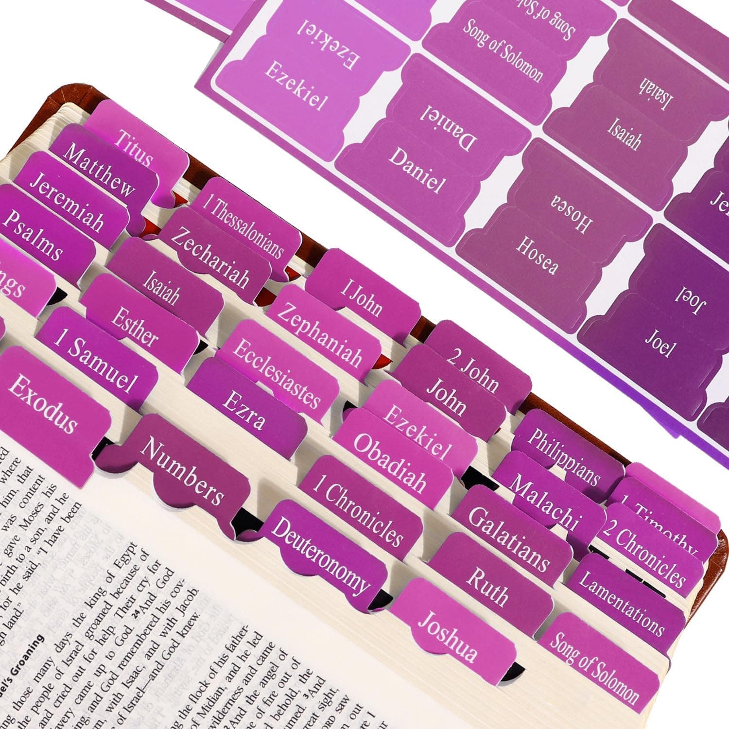 Purple Bible Tabs for Catholic Scripture - Luxurious Purple Paper Tabs, Perfect for Women/Teens, Durable Design for NIV/KJV - image 1