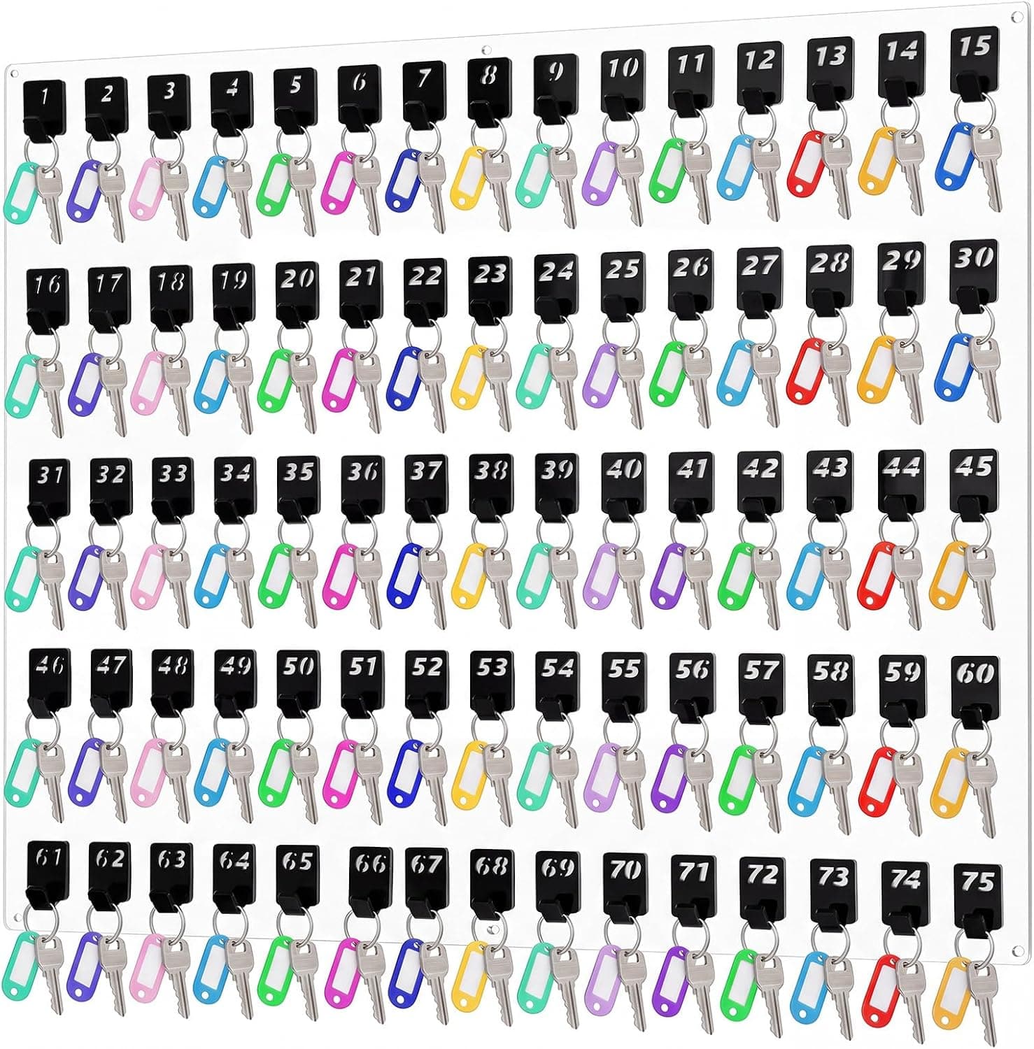 Acrylic Key Board with 75 No. Hooks Wall Mount Key Rack Holder Hanger Storage Collection for School, Garage, Car Dealer, Office, Hotel, Real Estate(Transparent)