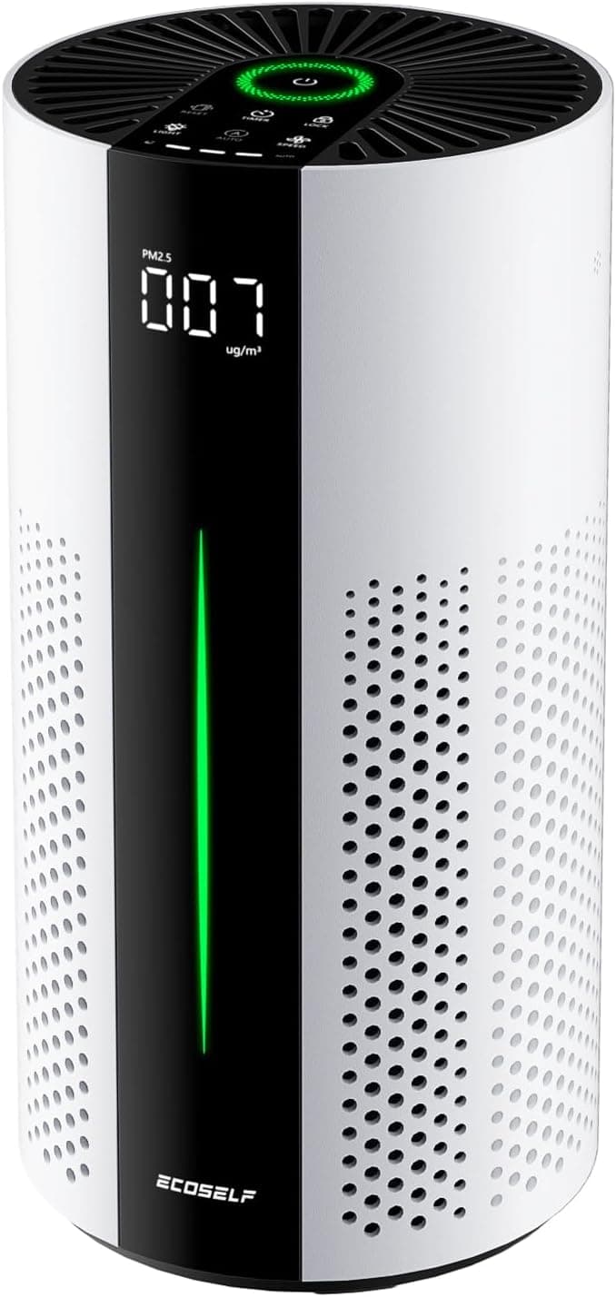 ECOSELF Smart 360° HEPA Air Purifier for Large Rooms | HAP609
