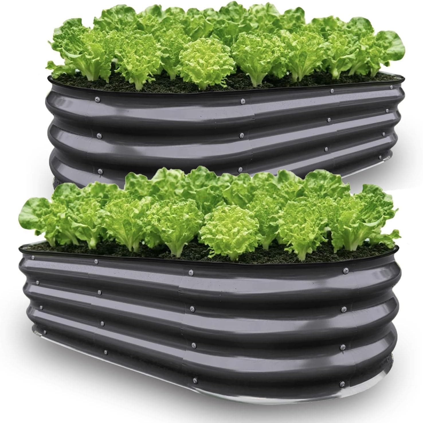 GrowHaus 2 Pack 4x2x1ft Galvanized Raised Garden Bed for Outside, Planter Boxes Outdoor Metal Garden Beds for Planting Vegetables Flowers Herbs Dark Gray - image 1
